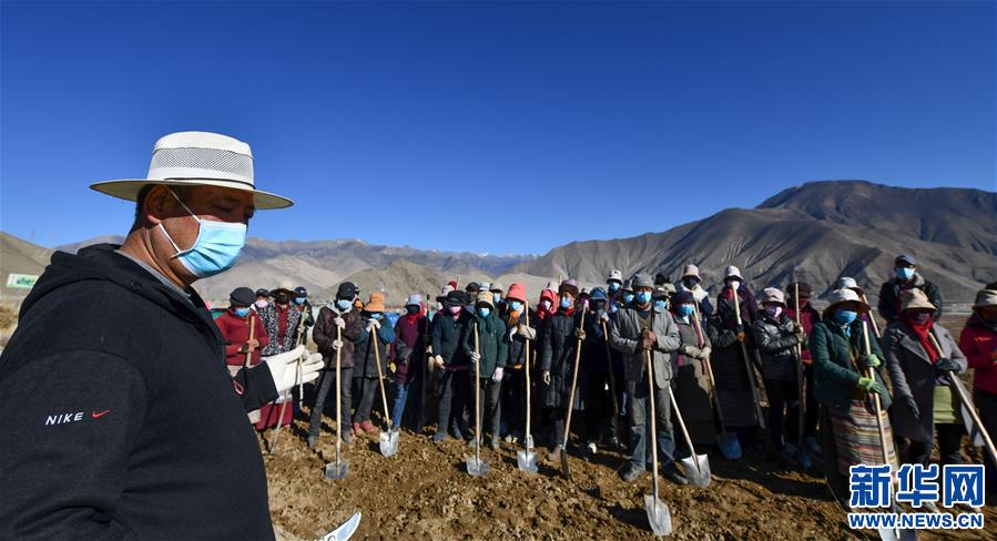 （图文互动）（2）种下春天的希望——西藏桑日县苗圃果园基地见闻