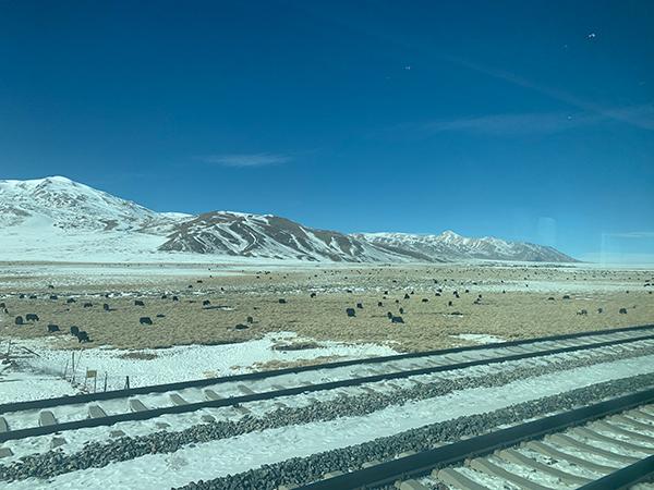 新春走基层｜春运天路之旅：沪萨列车Z164上的47小时