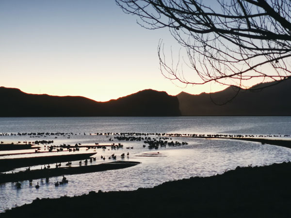 gongrq9b79.jpg gongrq9b79.jpg