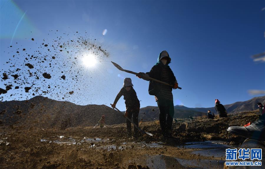 （图文互动）（3）种下春天的希望——西藏桑日县苗圃果园基地见闻