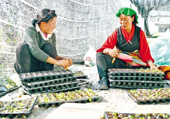 QQ图片20200126092356.png QQ图片20200126092356.png