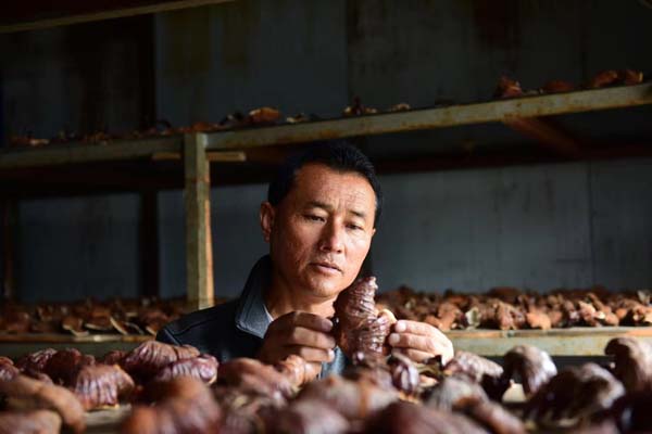 chenzd9a81_s.jpg chenzd9a81_s.jpg