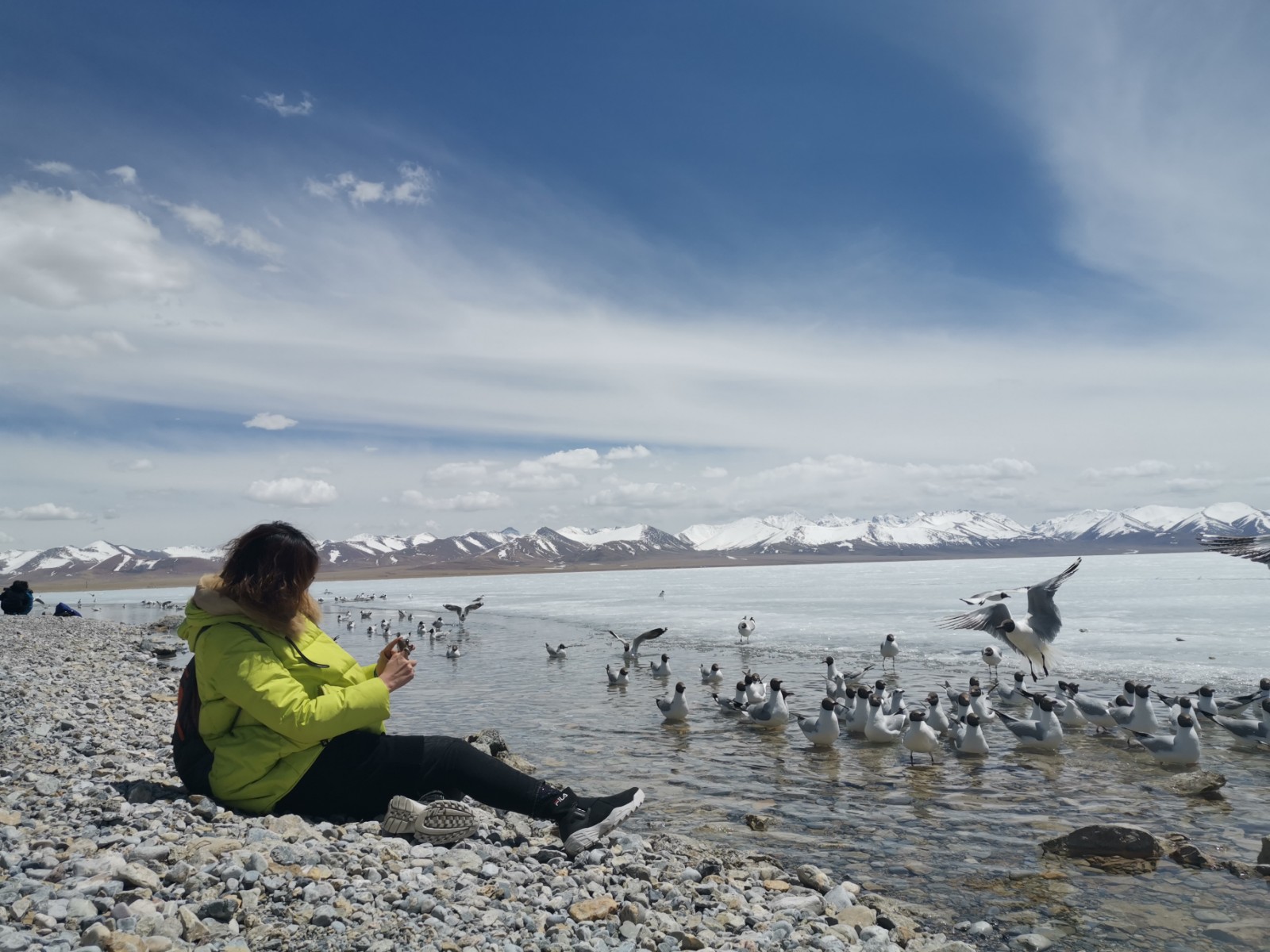 yj0504p07前去纳木错游玩的居民群众给鸟儿拍照.jpg