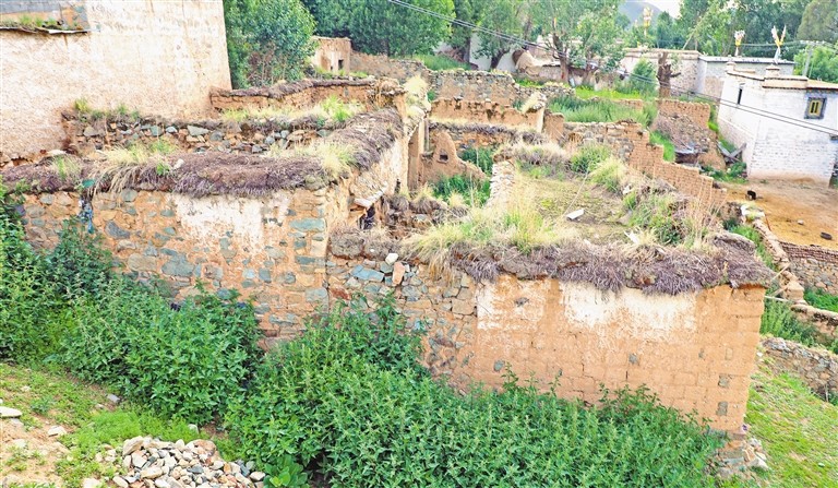 yangnl07142_s.jpg yangnl07142_s.jpg