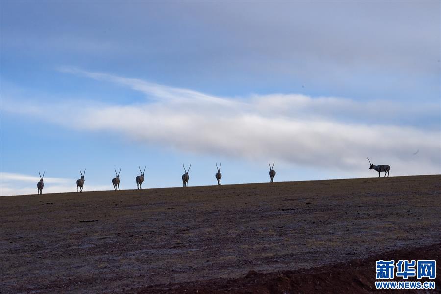 (新华全媒头条·图文互动)(1)跨越半个世纪的生命迁徙——西藏极高海拔生态搬迁破解人与自然共生难题