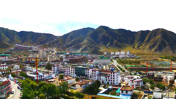 03 图为慈觉林一角。.jpg 03 图为慈觉林一角。.jpg