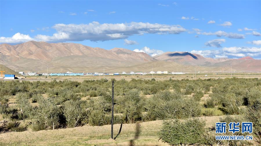 （图文互动）（4）红柳滩上的人间新城——藏西重镇狮泉河今昔记