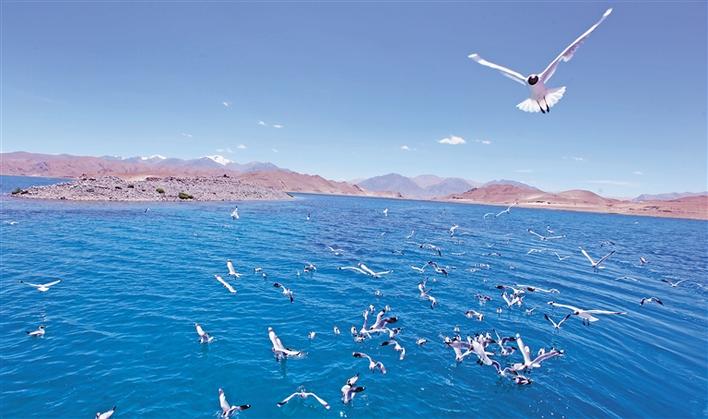 47a25965-10b1-4cba-ae6b-4d3aed4437db.jpg 47a25965-10b1-4cba-ae6b-4d3aed4437db.jpg