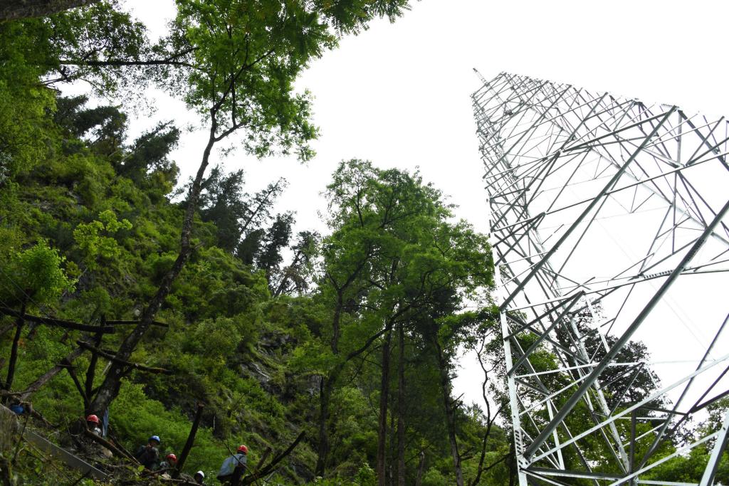 1593512771522682.jpg?x-oss-process=style/w10 快照12.jpg?x-oss-process=style/w10