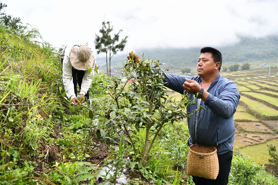(新华全媒头条·图文互动)(6)远去的马帮——“莲花秘境”墨脱告别“高原孤岛”之路