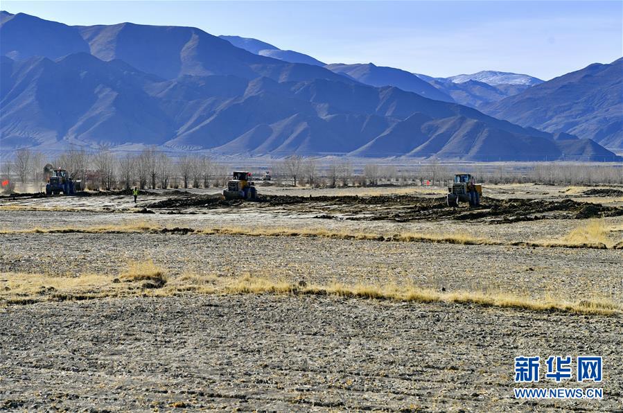 ï¼å¾æäºå¨ï¼ï¼6ï¼è¥¿èé«æ&nbsp;åæé&nbsp;åçº§çâç²®ä»â