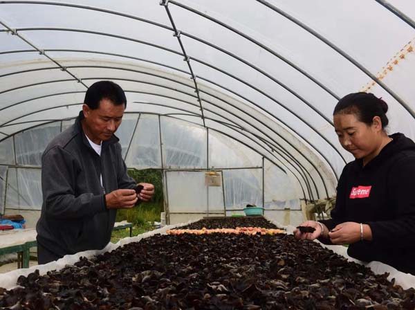 chenzd9a70_s.jpg chenzd9a70_s.jpg