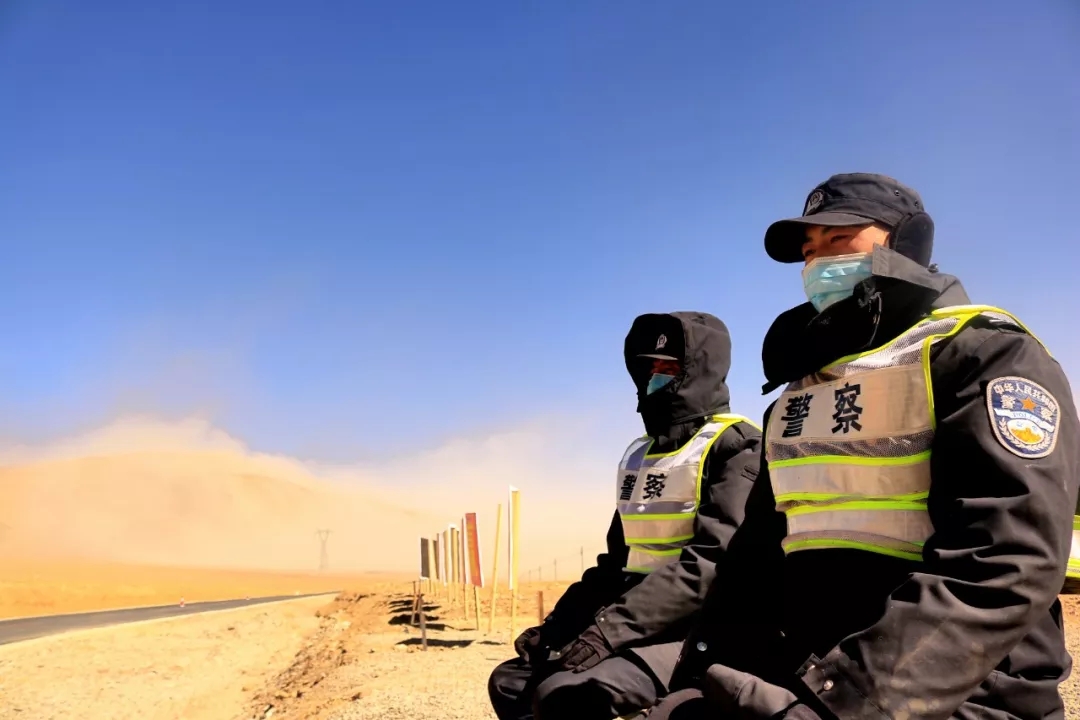 1.webp.jpg 1.webp.jpg