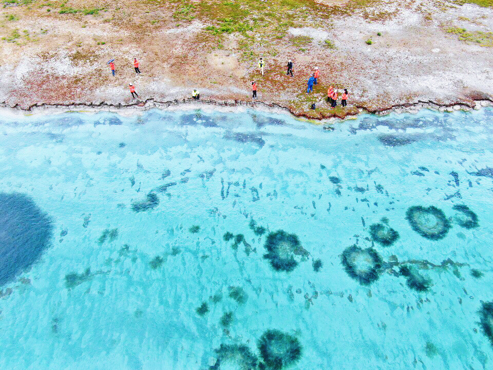 WechatIMG295.jpeg WechatIMG295.jpeg