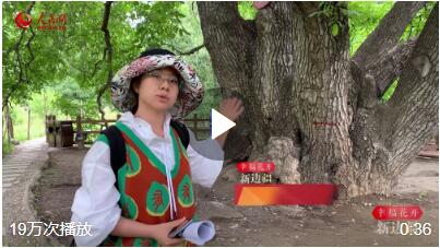 QQ截图20200821112110.jpg QQ截图20200821112110.jpg