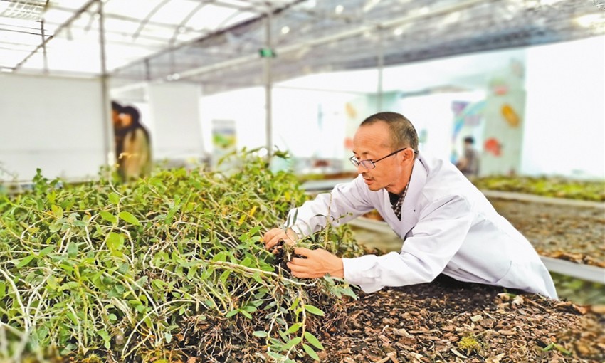 未标题-3.jpg 未标题-3.jpg