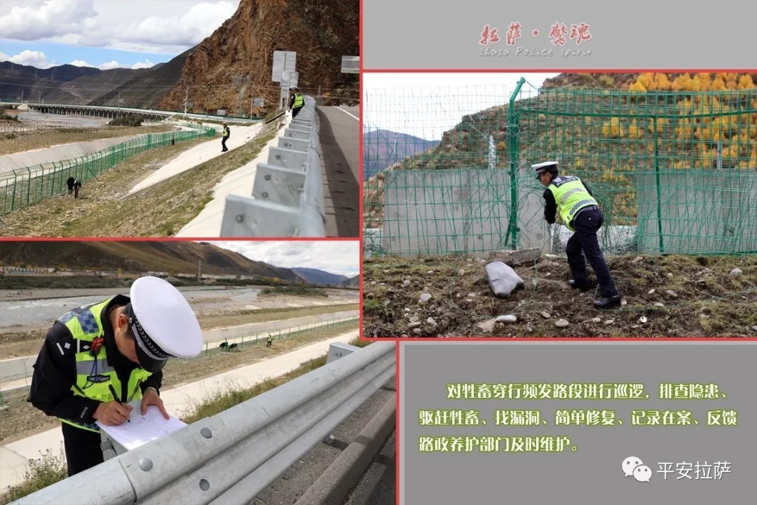 640.webp (10).jpg 640.webp (10).jpg