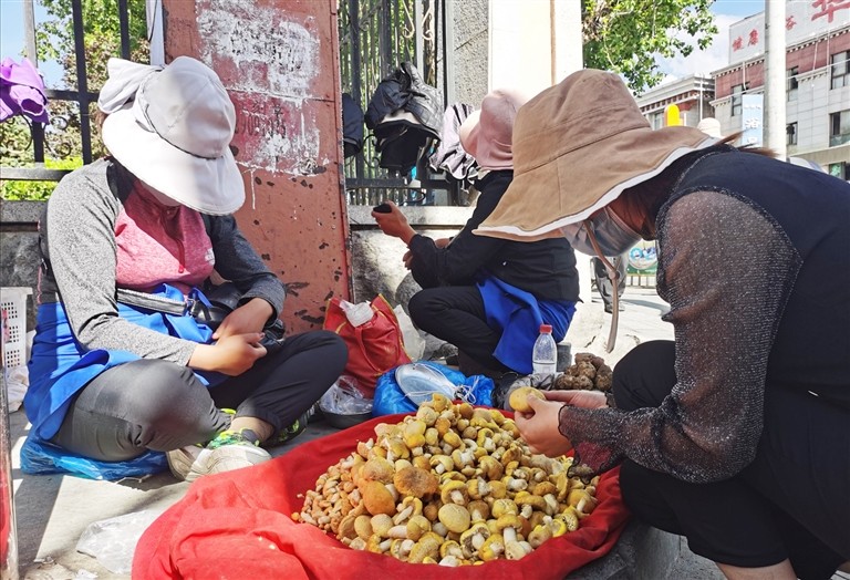 liy07391_s.jpg liy07391_s.jpg