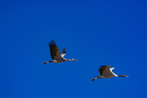 gongrq9b70.jpg gongrq9b70.jpg