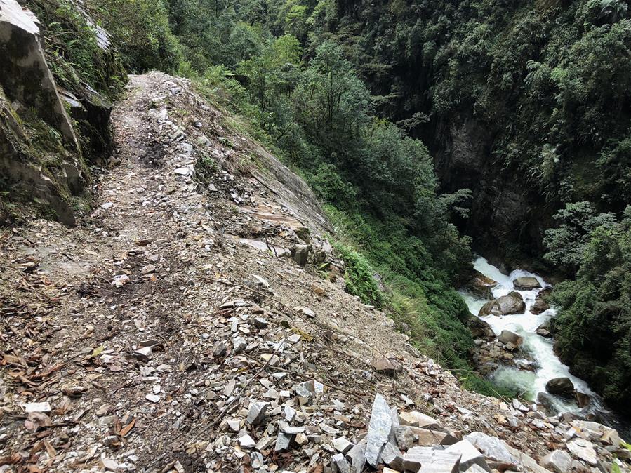 (新华全媒头条·图文互动)(3)远去的马帮——“莲花秘境”墨脱告别“高原孤岛”之路