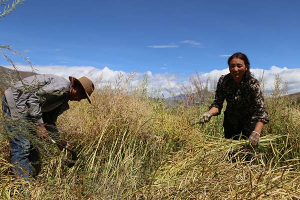 微信图片_20191014110823.jpg 微信图片_20191014110823.jpg